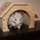 House for chinchilla: types and manufacturing methods