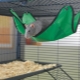 Rat hammock: how to choose, do it yourself and equip?