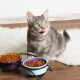 What is the cat food made of and which composition is better?