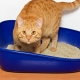 How to choose clumping litter for cat litter?