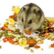 How to choose hamster food?