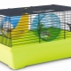 Cages for Dzungarian hamsters: what are they and how to clean them?
