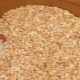 Fillers for rodents