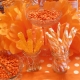 Orange in psychology