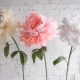 Growth flowers: types, materials and production