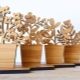 Wooden souvenirs and gifts