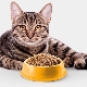 Grain Free Cat Food