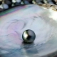Black pearls: properties, where are they mined and for whom is it suitable?