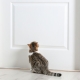 What can be done to prevent cats from marking the front door?