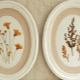 Herbarium: types, features of collecting plants and design options