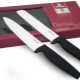 Characteristics and tips for choosing Rondell knives
