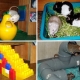 Toys for rats: types, tips for choosing and creating