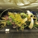 Ikebana: what is it, history and rules of creation