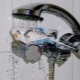 How to bathe a budgerigar?