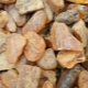 How is amber formed in nature?