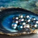 How are pearls formed and where can they be found?