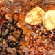 How to distinguish amber from a fake?