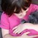 How to raise a kitten correctly?