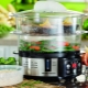 How to choose the right steamer?