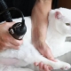 How to trim a cat at home?
