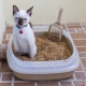 How to choose and use a cat litter box?