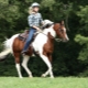 Horseback Riding: Advantages, Disadvantages and Key Recommendations