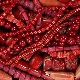 Coral: properties, colors, what does it look like and how to care?
