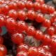 Red agate: description and scope