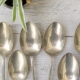 Cupronickel spoons: what is it, the benefits and harms