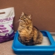Flush-down Cat Litter Fillers