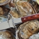 Oyster knives: what do they look like and how to use them?