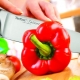 Tefal knives: features and model overview