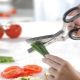 Greenery scissors: description and selection