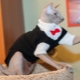 Clothes for cats: what is it and how to train a cat to it?