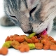 Cat food rating