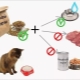 How much food does a cat need per day?