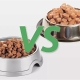 Wet and dry food: what is the best way to feed your cat?