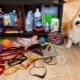 Accessories for dogs: variety of types and selection rules