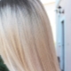 Arctic blond: features, brands of paints, coloring and care