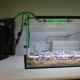 Biofilter for an aquarium: features, types and applications