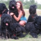 Black Terrier: breed description and keeping secrets