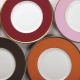 Plate colors: possible options and selection features