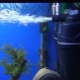 Filters for the aquarium: description, types, selection and application