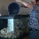 How and how much water should be defended for an aquarium?