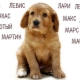How to choose a nickname for large breed dogs?
