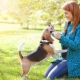 How to choose a nickname for a boy-dog?
