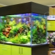 What kind of algae are in the aquarium and how to get rid of them?