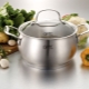 Pans Gipfel: features, range and selection rules