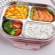 Heated food containers: description, types and tips for choosing