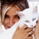 Cats and their owners: do cats love their owners and can they forget them?